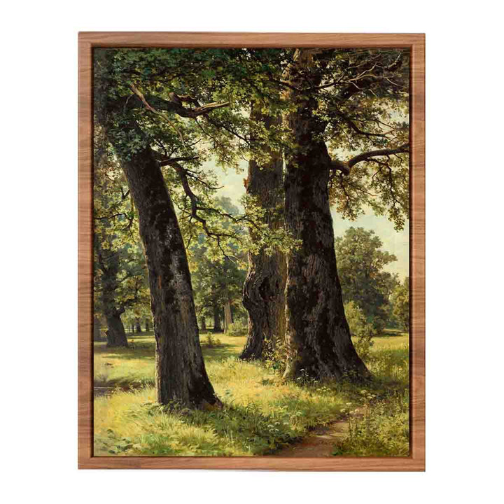 Oaks