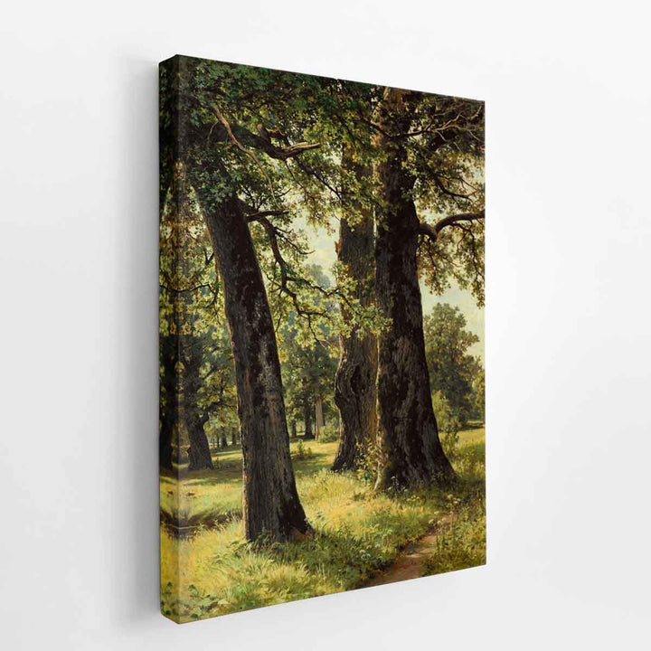 Oaks