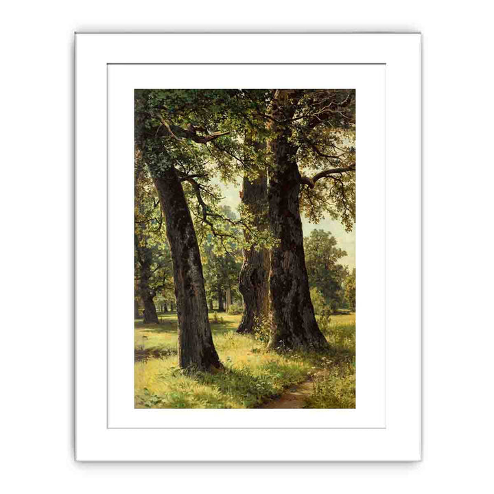 Oaks