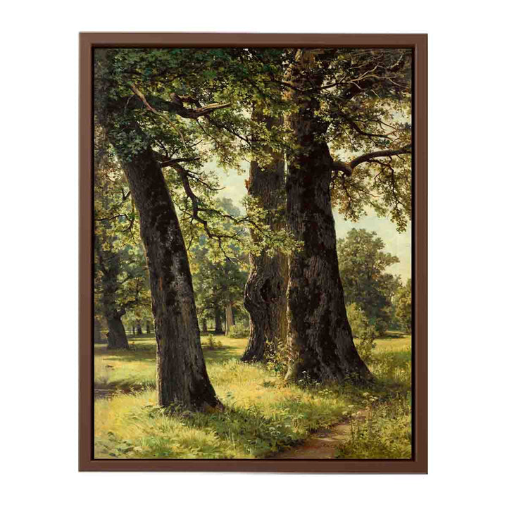 Oaks