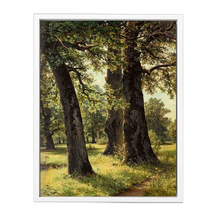 Oaks