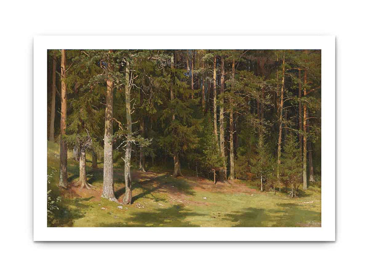 The clearing
