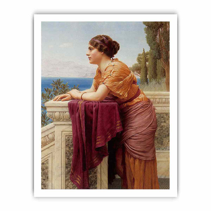 The Belvedere