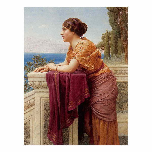 The Belvedere