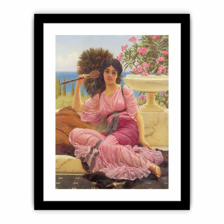 Flabellifera