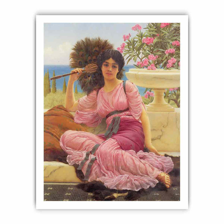 Flabellifera