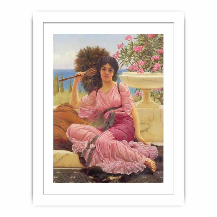 Flabellifera