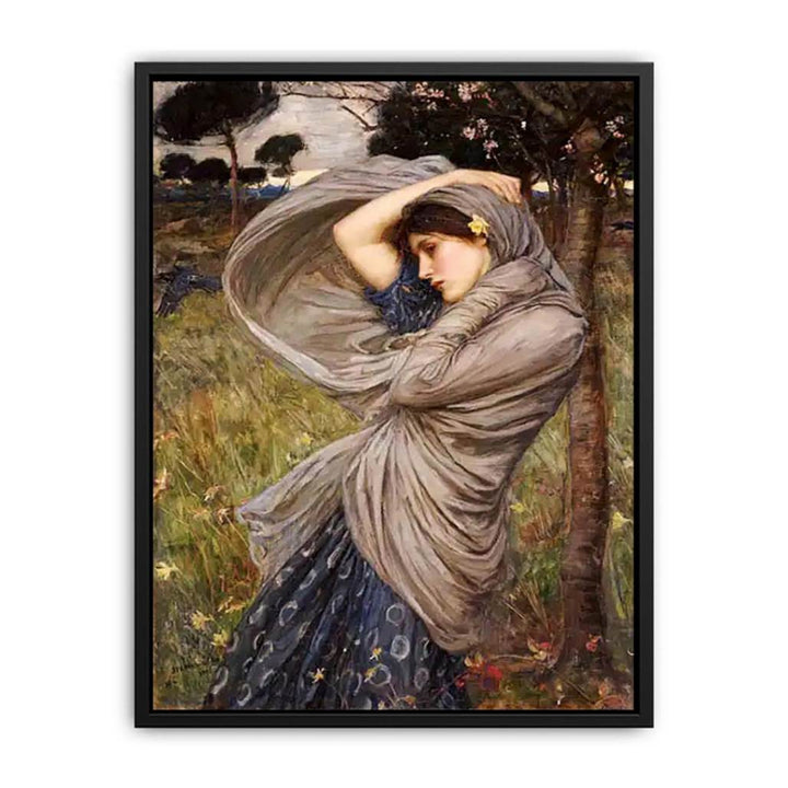 Boreas 1903