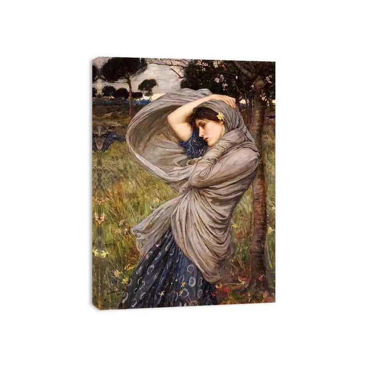 Boreas 1903