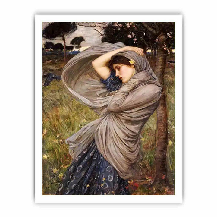 Boreas 1903