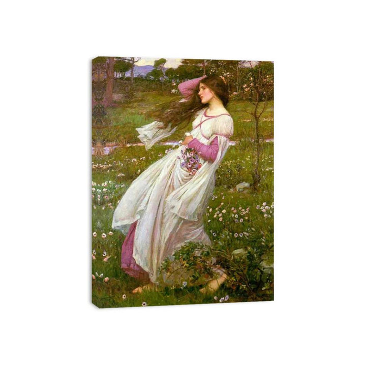 Windflowers 1903