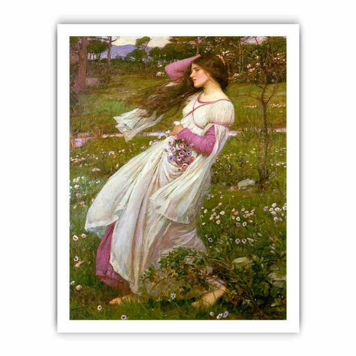 Windflowers 1903