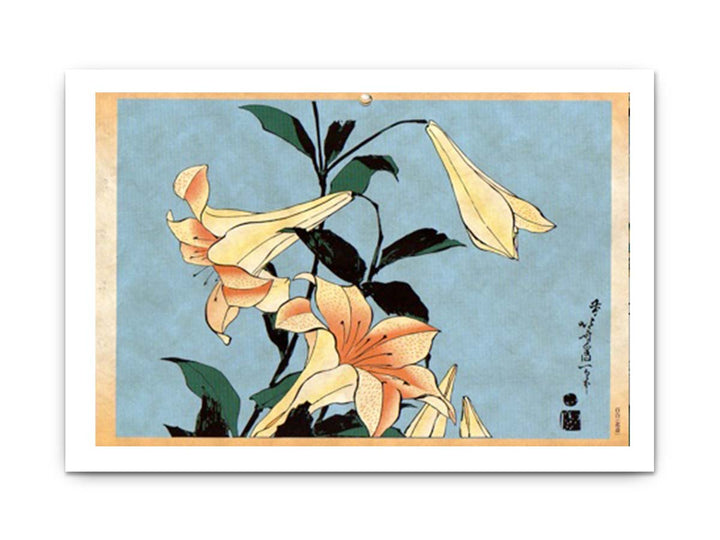 Lilly