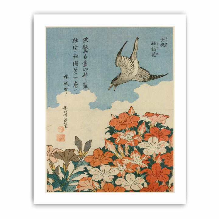Cuckoo and Azaleas