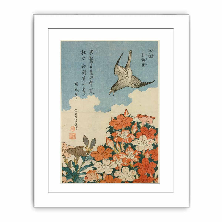 Cuckoo and Azaleas