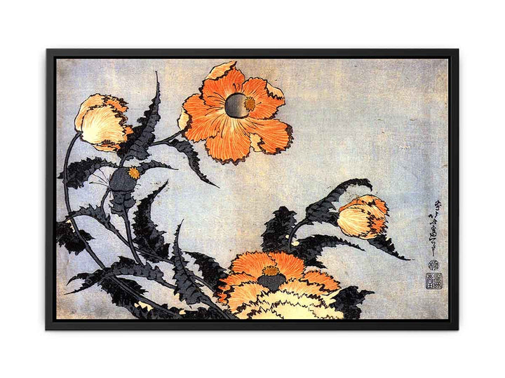Poppies