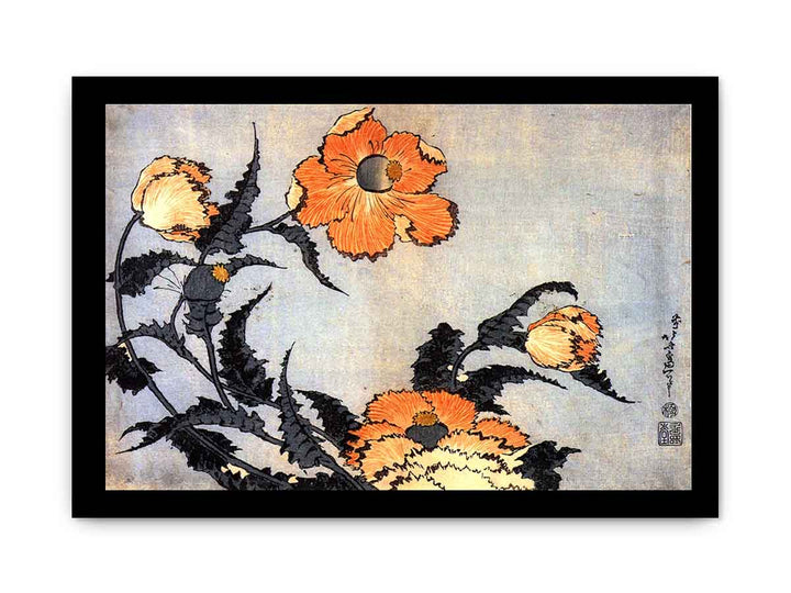 Poppies