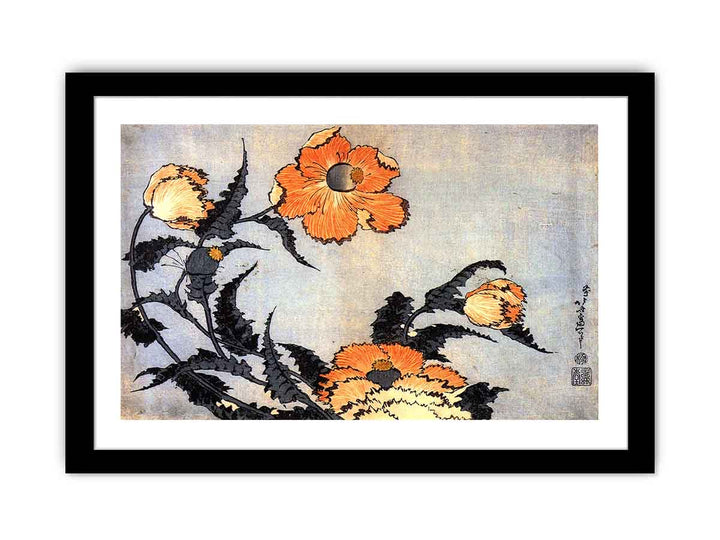 Poppies