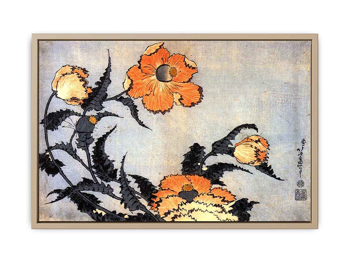 Poppies
