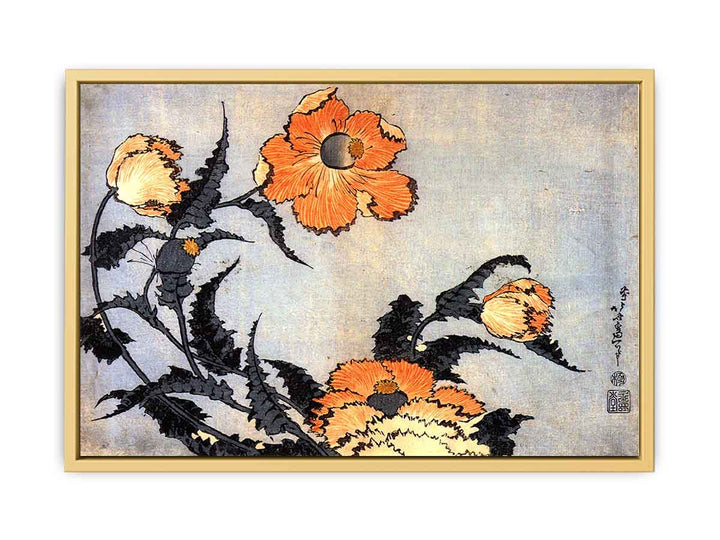 Poppies