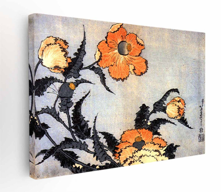 Poppies