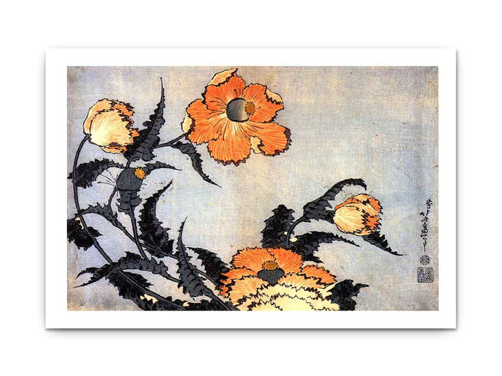 Poppies