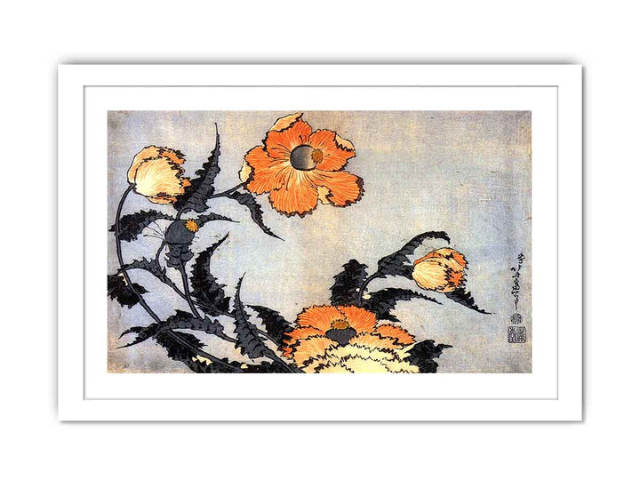 Poppies