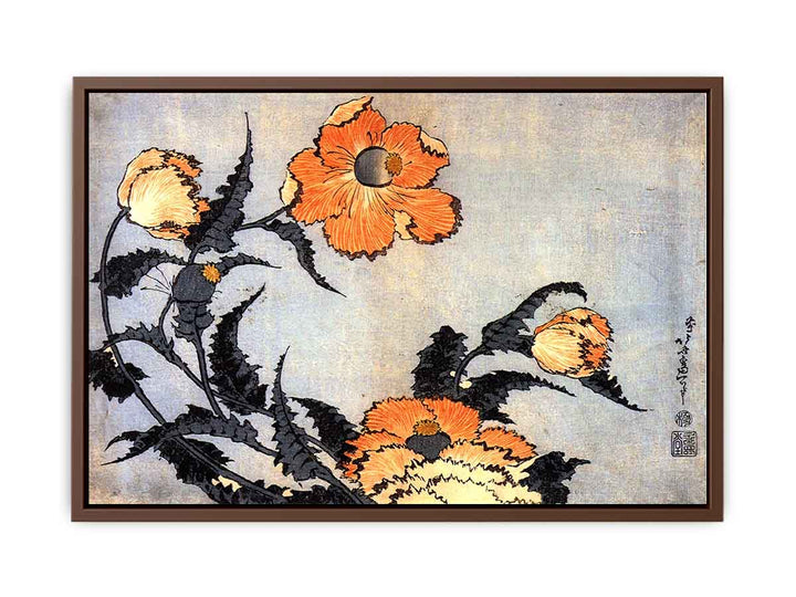 Poppies