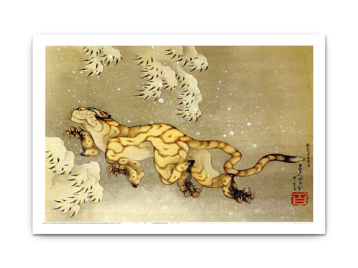 Old Tiger in the Snow