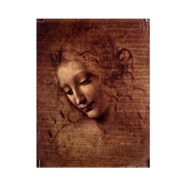 Female head (The Lady of the Dishevelled Hair) (or La Scapigliata)
