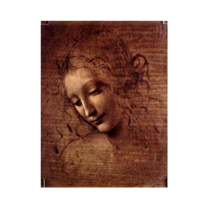Female head (The Lady of the Dishevelled Hair) (or La Scapigliata)