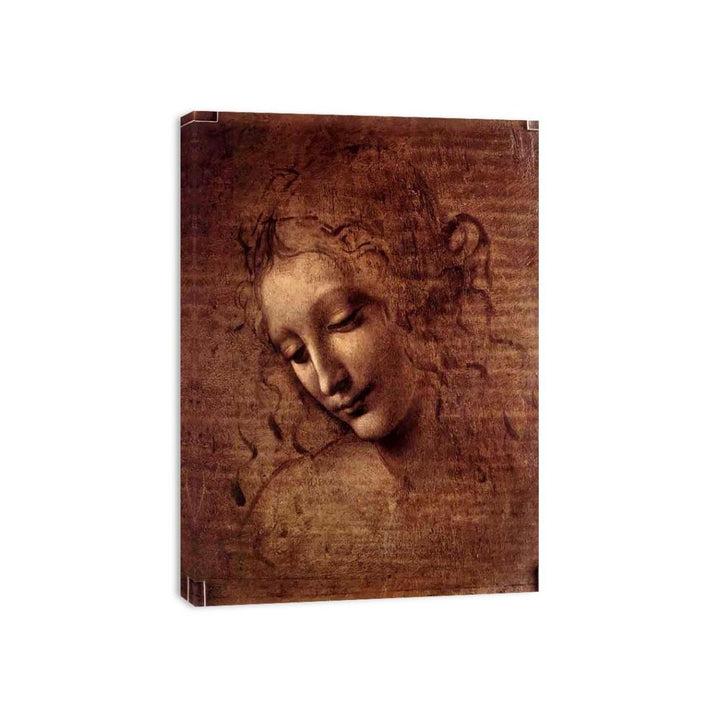 Female head (The Lady of the Dishevelled Hair) (or La Scapigliata)