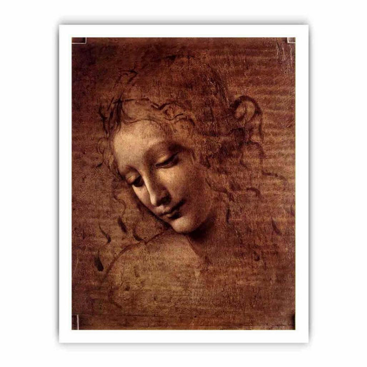 Female head (The Lady of the Dishevelled Hair) (or La Scapigliata)