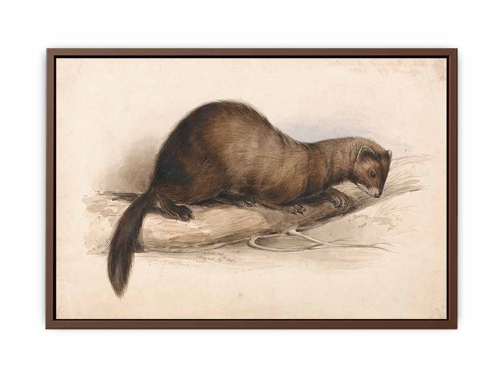 A Weasel
