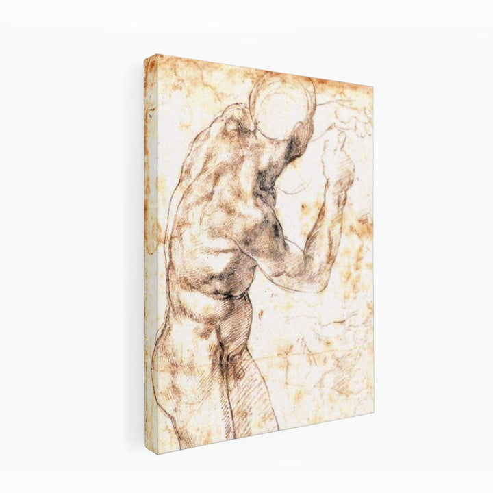 Male Nude 1504-06