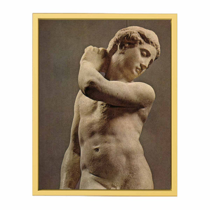 David-Apollo