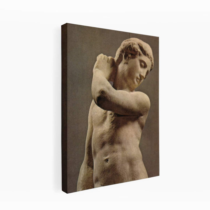 David-Apollo