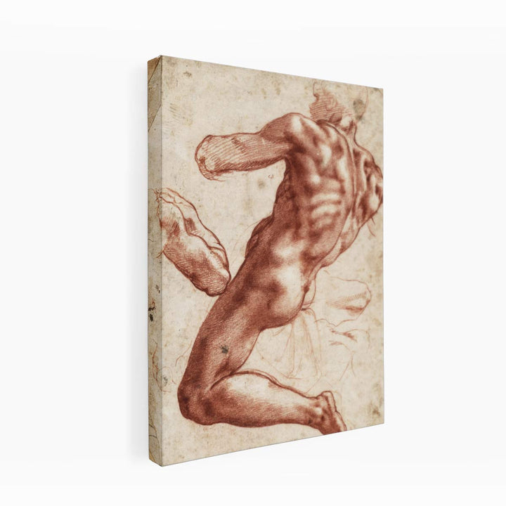 Study for an ignudo
