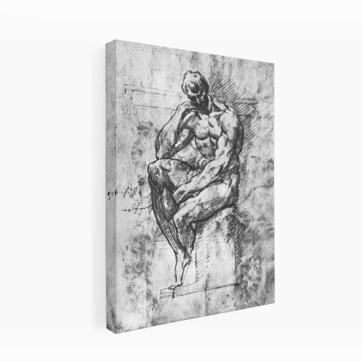 Study of a Man 1510-11