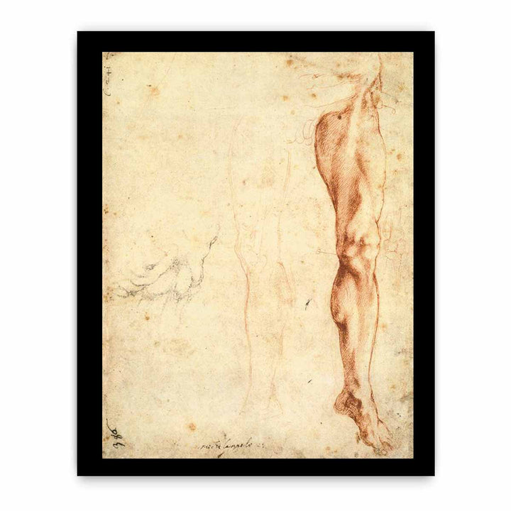Study of a Left Male Leg (verso)