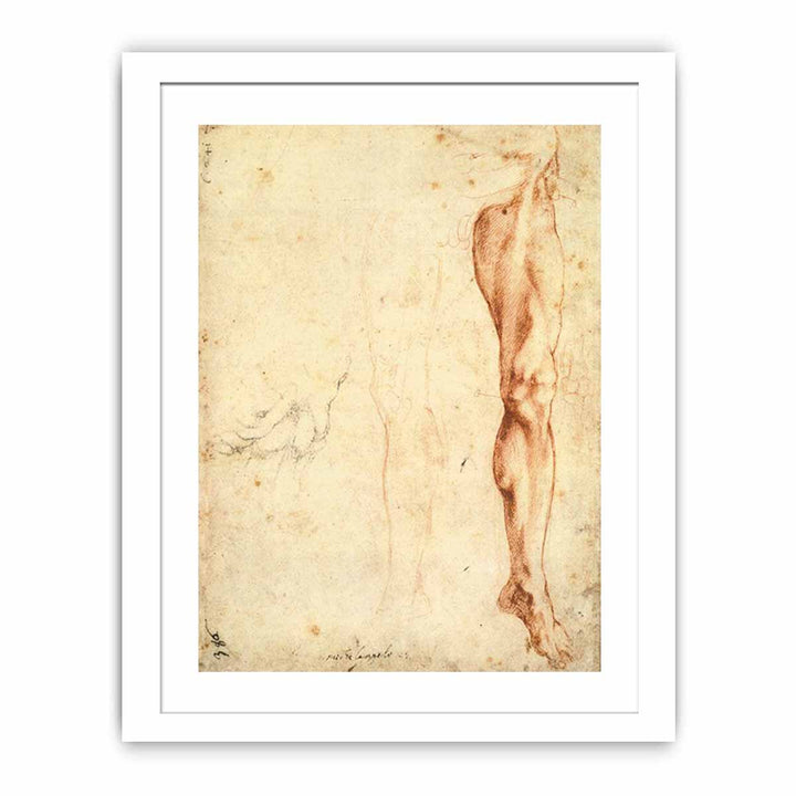 Study of a Left Male Leg (verso)