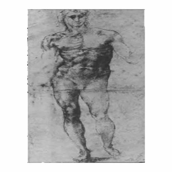 Male Nude (recto)