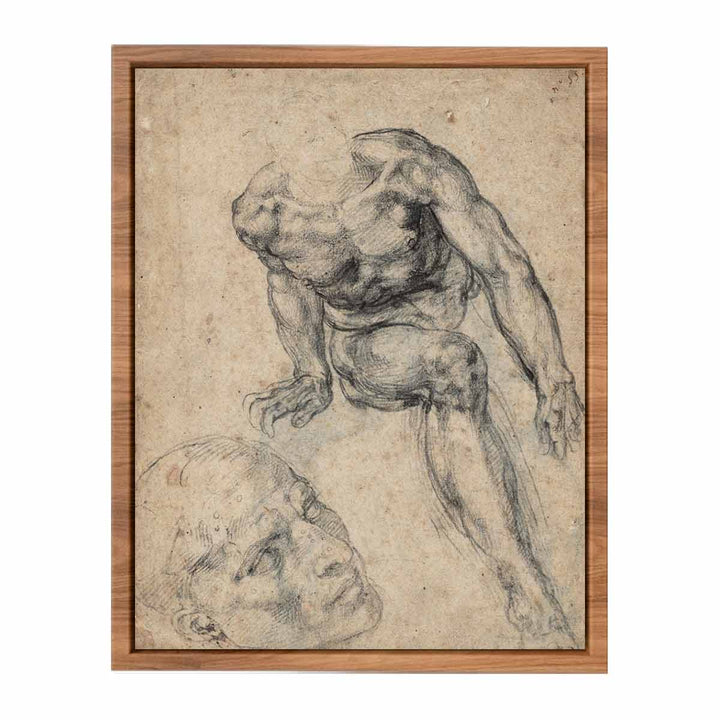 Study of a Male Nude (recto)