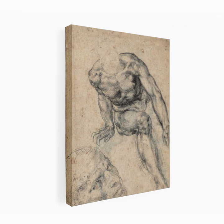 Study of a Male Nude (recto)