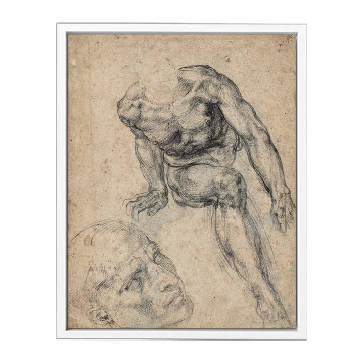 Study of a Male Nude (recto)