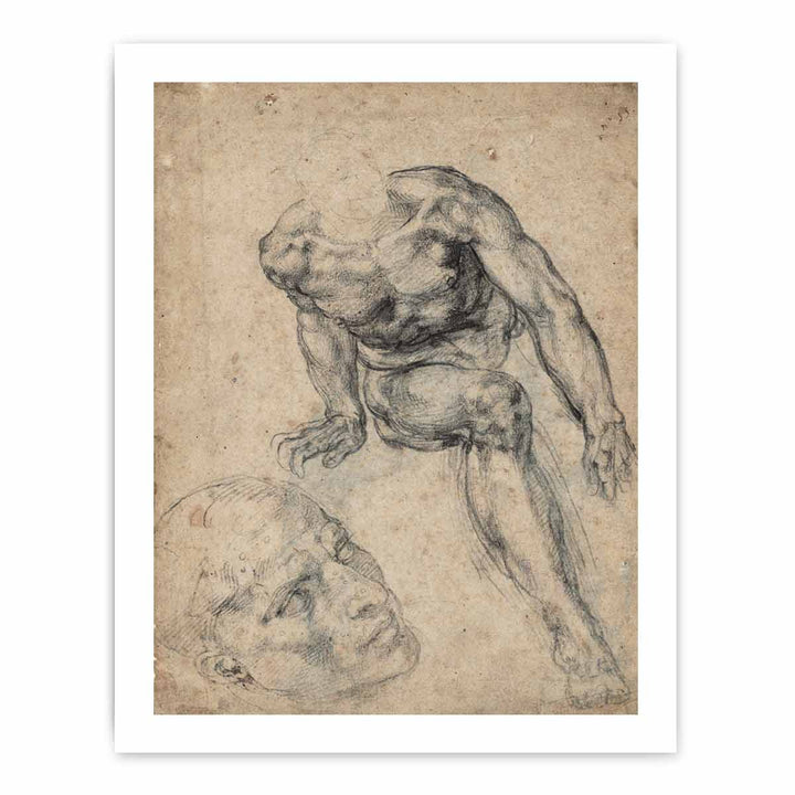 Study of a Male Nude (recto)