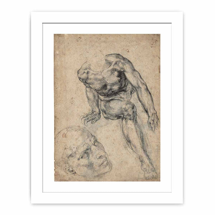 Study of a Male Nude (recto)