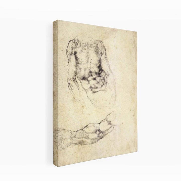 Upper Body of a Sitting Man and Study of a Right Arm (recto)