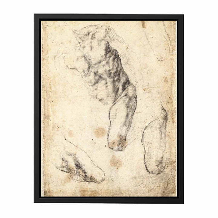 Studies of a Male Torso and Left Leg (verso)