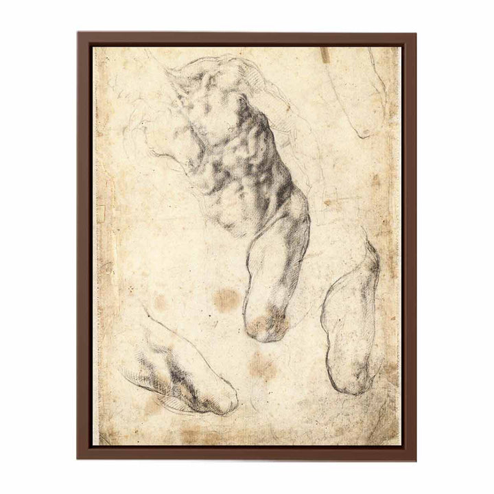 Studies of a Male Torso and Left Leg (verso)